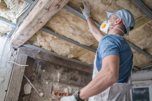 Best Eco-Friendly Insulation in Rocky Point, NY